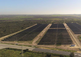 La Base Naval de Rota inaugura una planta solar fotovoltaica de autoconsumo de 10 hectáreas