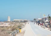 Prohíben los festivales de música en El Palmar: «Esto no es una ciudad sin ley»