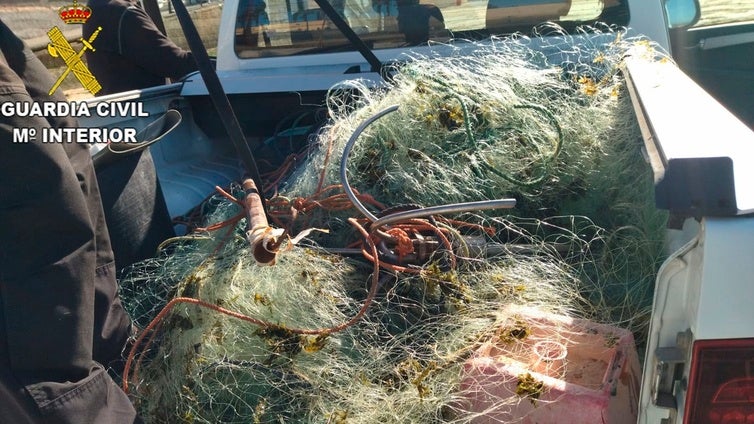 Golpe a la pesca ilegal de ostiones y erizos de mar: incautan más de 200 metros de redes en la playa de la Caleta de Cádiz