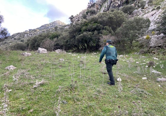 Rescatados tres senderistas perdidos en la Sierra de Grazalema de Cádiz