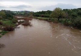 San Roque activa su Plan de Emergencias por el Guadiaro mientras Jimena descarta riesgos pese a la crecida del río Hozgarganta