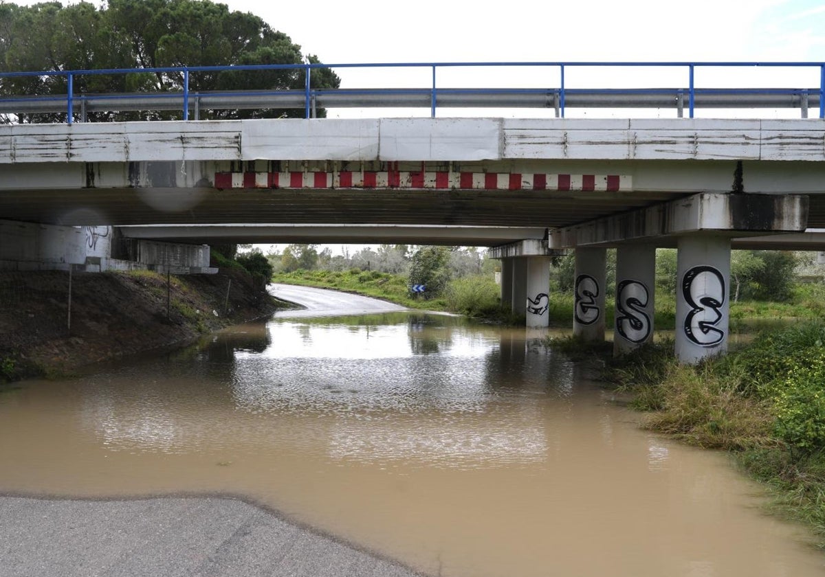 La carretera CA-3113 permanece cerrada al tráfico por el desbordamiento del río Guadalete a su paso por Jerez