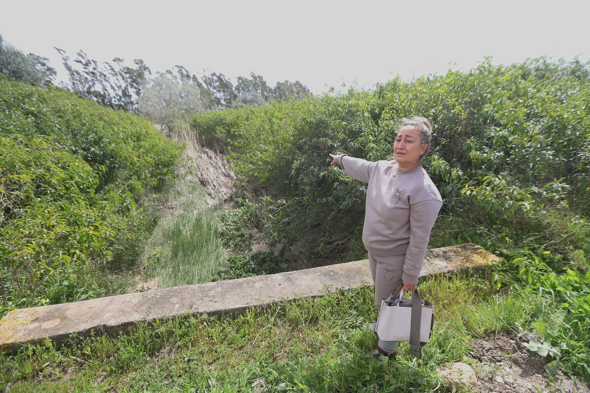 Imágenes de la crecida del Guadalete en Jerez: 200 desalojados y trabajo sobre el terreno