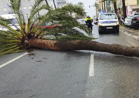 Imagen secundaria 1 - La circulación ha quedado cortada en la Avenida principal de Cádiz