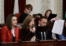 Las imágenes del pleno extraordinario para aprobar los Presupuestos en Cádiz