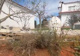 Un tornado arrasa Conil y provoca varios destrozos de pinares, muros y techos
