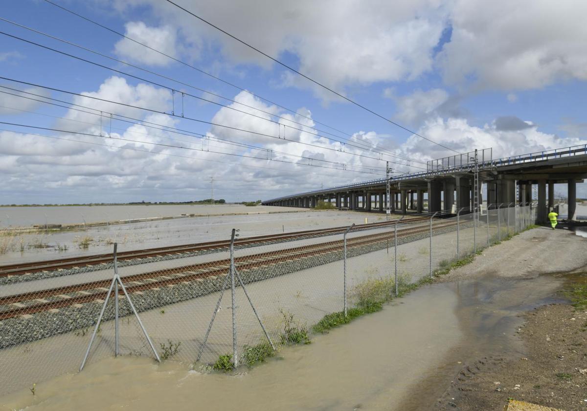 Punto en que la AP-4 se cruza con la línea ferroviaria Madrid-Cádiz y que está dentro del tramo que esta vía tiene cerrado al tráfico a causa de las inundaciones