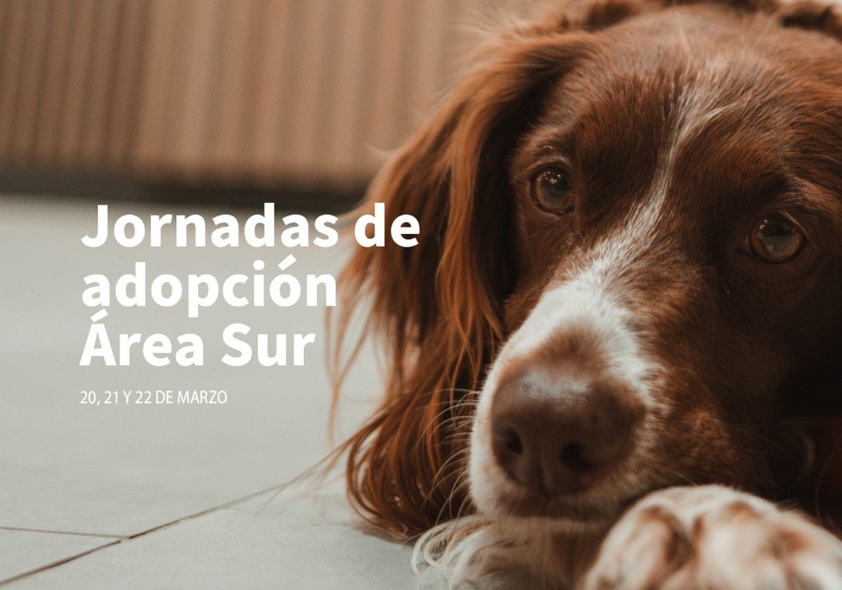 Área Sur celebra unas jornadas de adopción responsable para dar una segunda oportunidad a perros sin hogar