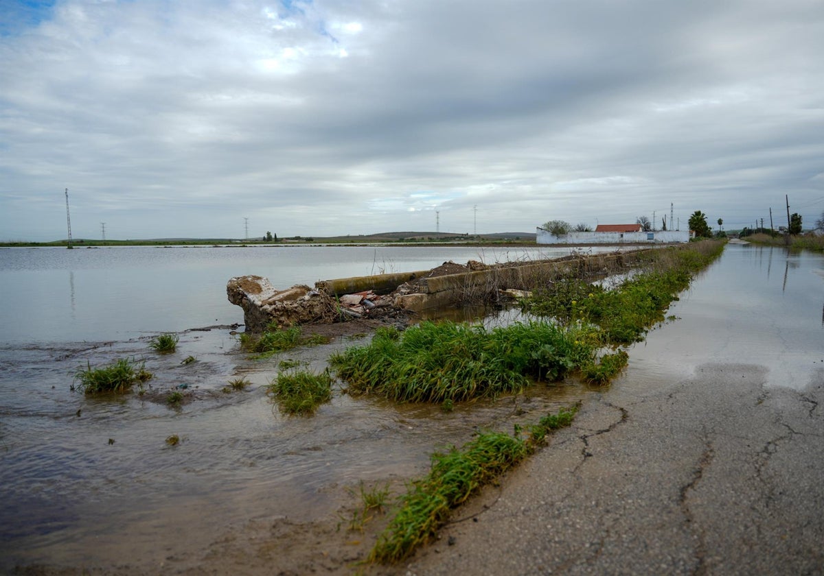 La localidad gaditana de Espera, incluida en el plan especial por inundaciones activado por la Junta