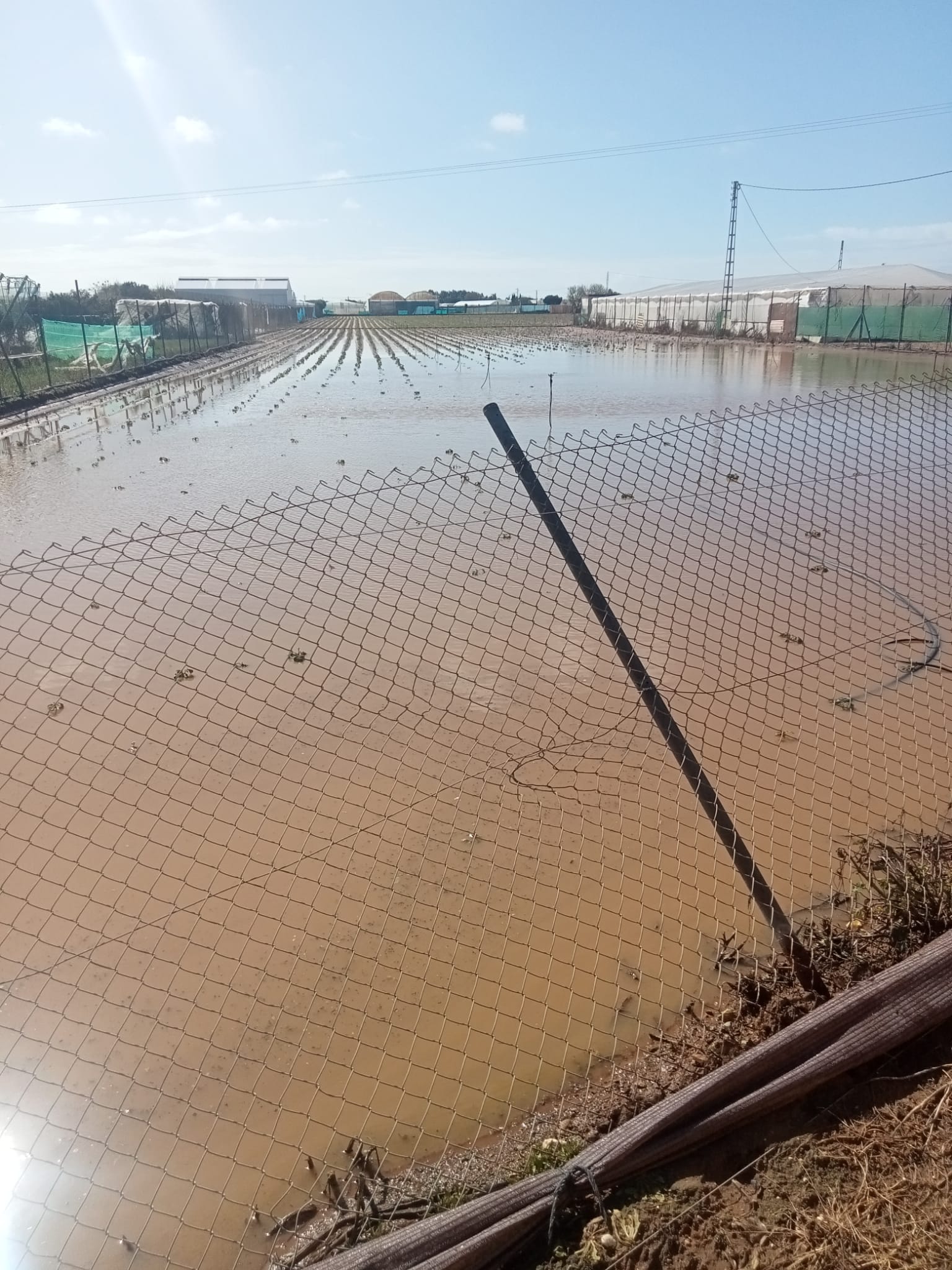 El agua cubre los cultivos de la Costa Noroeste