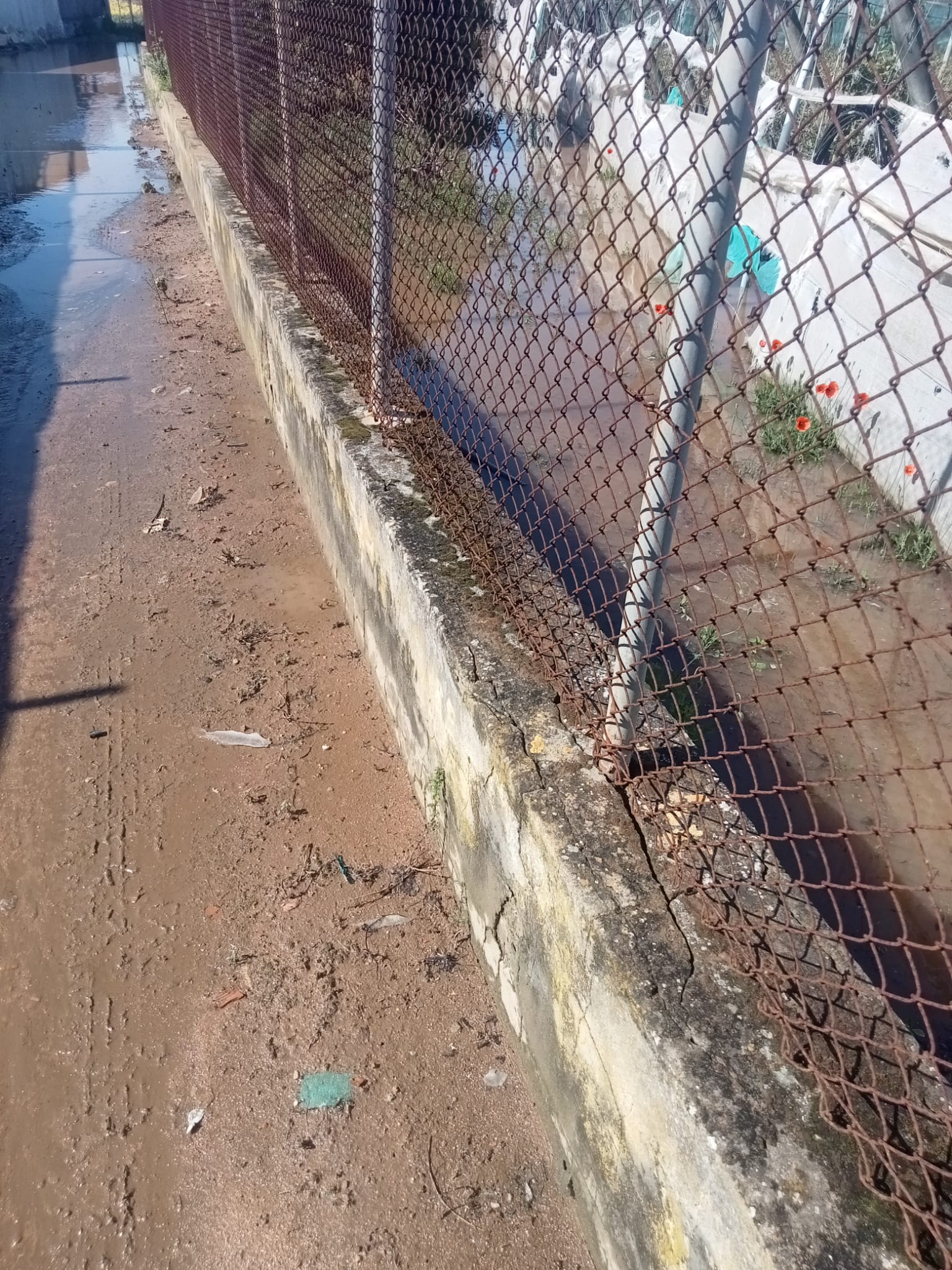 El agua cubre los cultivos de la Costa Noroeste