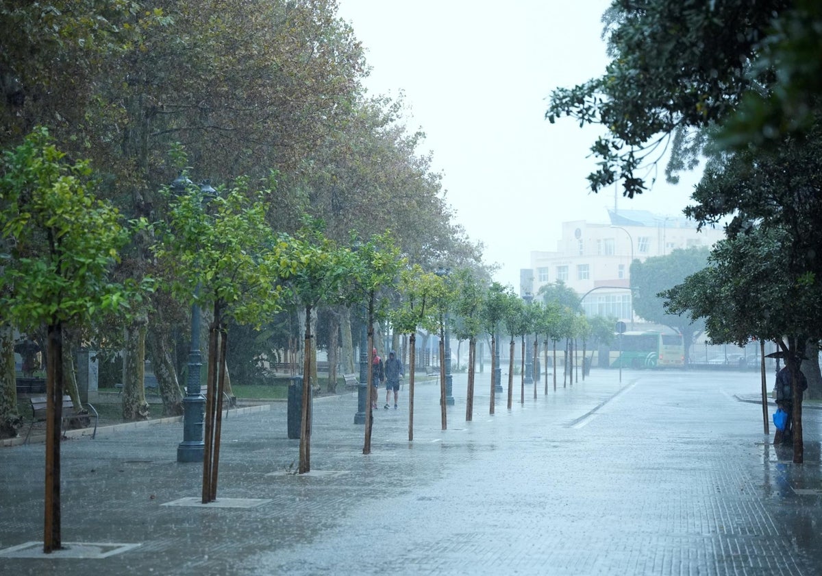 Cádiz vuelve a estar en alerta amarilla por lluvias y riesgo de tormentas: Aemet anuncia cuáles serán las peores horas