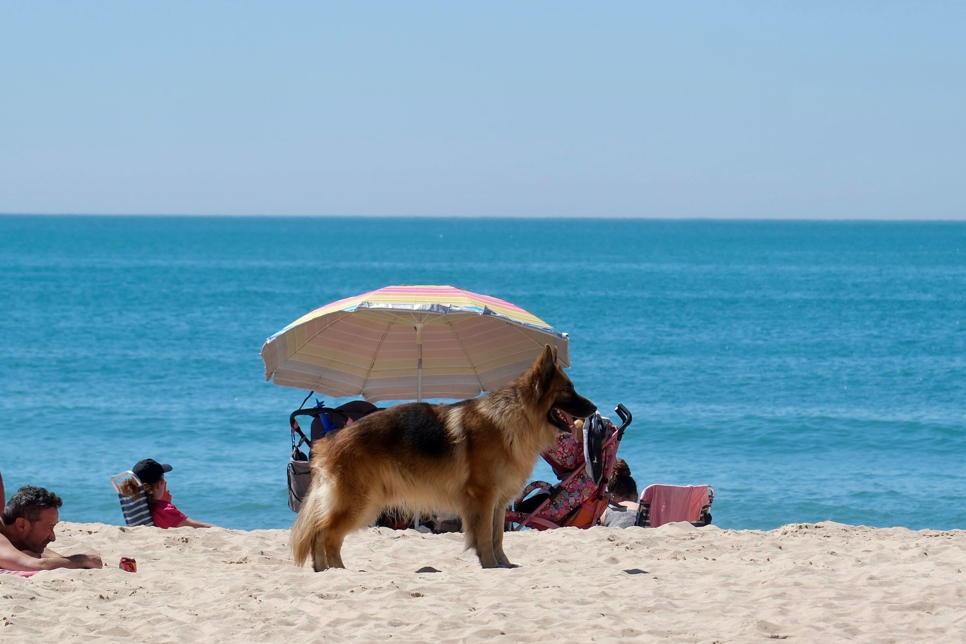 Fotos: Cádiz disfruta de su primer fin de semana de sol tras un mes de lluvia