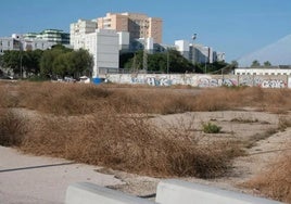 El PP pide un acuerdo con el Ministerio de Hacienda para la venta o cesión por parte de Zona Franca del suelo del Hospital de Cádiz