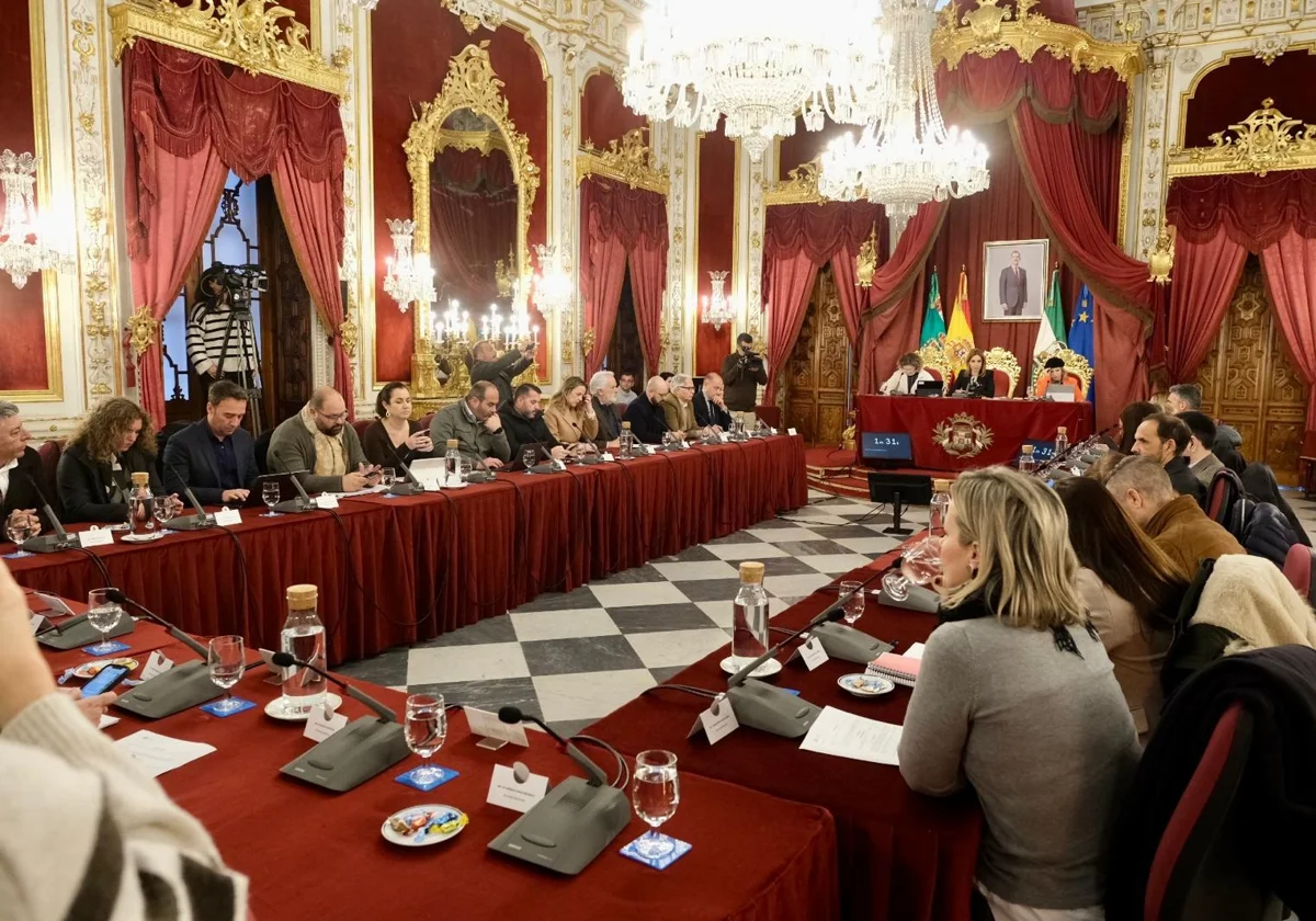El PP de Cádiz pedirá en Diputación al Gobierno poder acometer inversiones financieras sostenibles con el remanente
