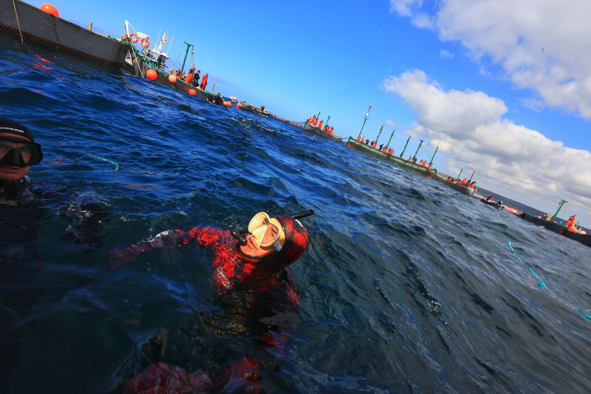 La primera levantá de atunes, en imágenes