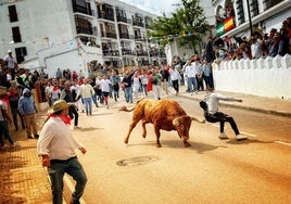 Trasladado al Puerta del Mar de Cádiz con pronóstico reservado tras una cogida en el Toro Embolao de Vejer