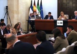 Jerez propondrá moratoria en las licencias de viviendas turísticas para evitar «un exceso»