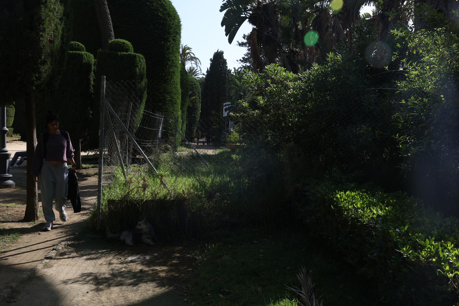 Así está el Parque Genovés antes de su reforma integral