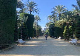 Todo a punto para la reforma integral del Parque Genovés