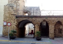 Un gato muere atropellado junto al Arco de los Blanco en Cádiz y el Ayuntamiento actúa tras el aviso de un ciudadano