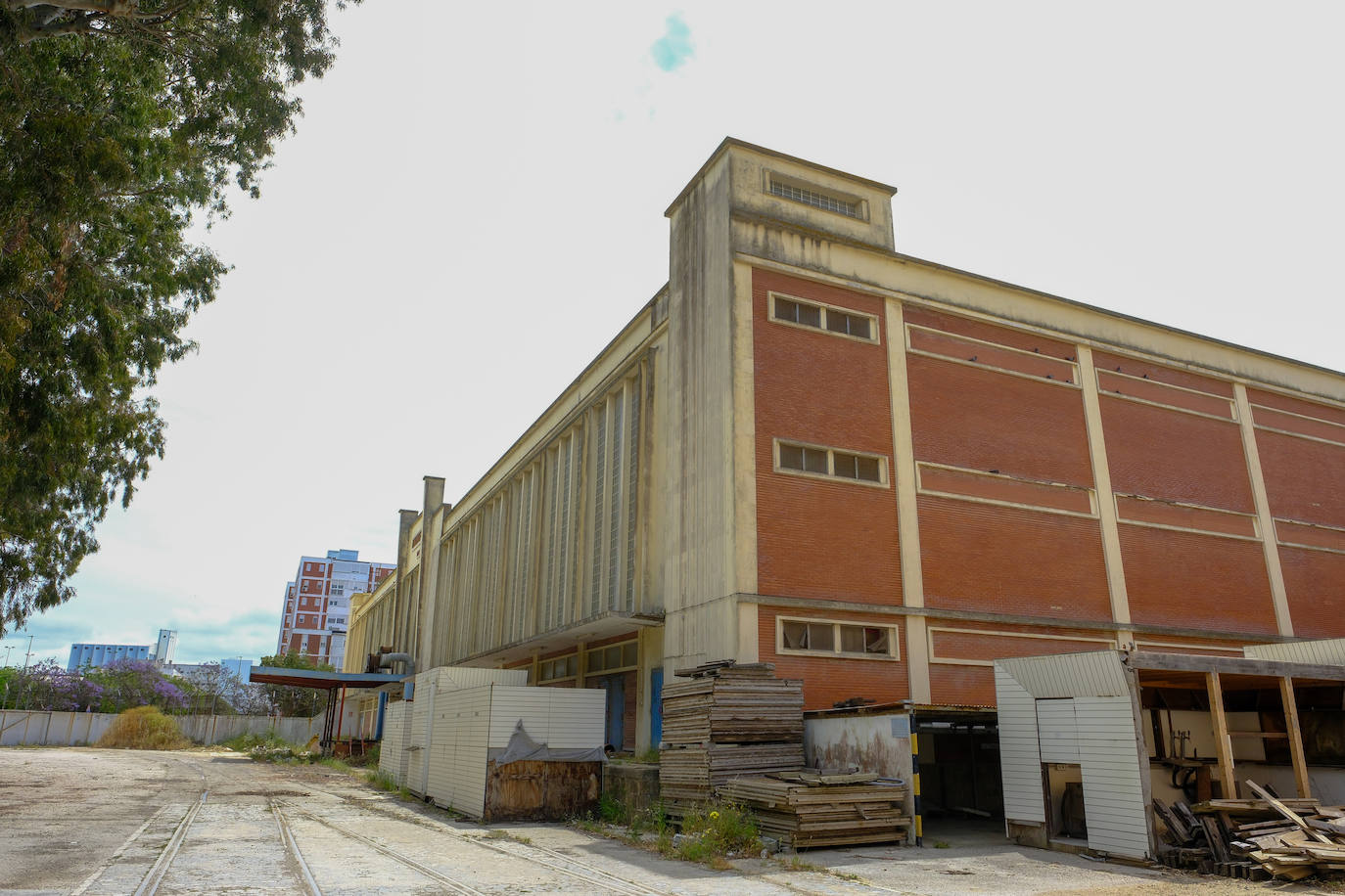 Fotos: estado actual de los Depósitos de Tabaco en Cádiz, donde se ubicará la Ciudad de la Justicia