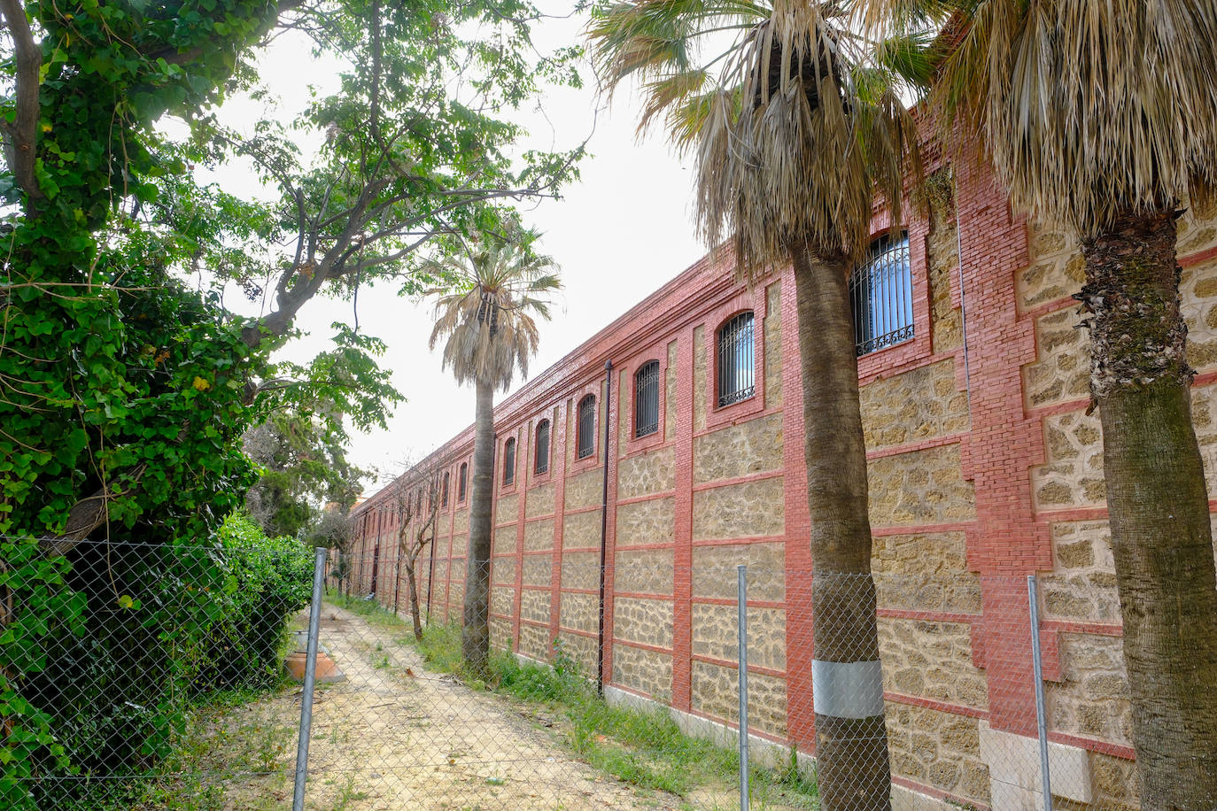 Fotos: estado actual de los Depósitos de Tabaco en Cádiz, donde se ubicará la Ciudad de la Justicia