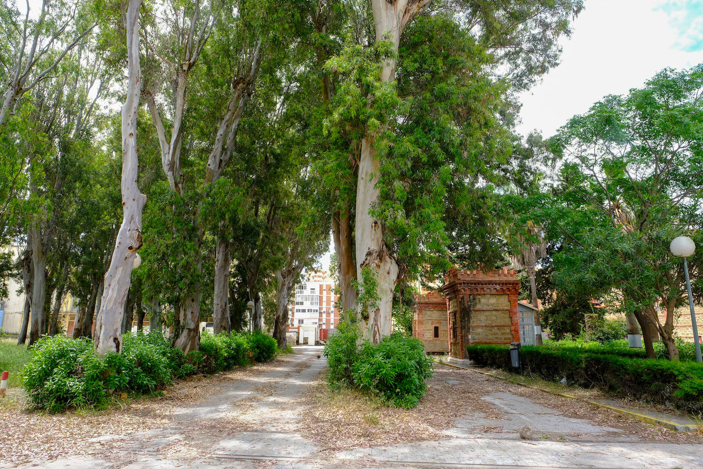 Fotos: estado actual de los Depósitos de Tabaco en Cádiz, donde se ubicará la Ciudad de la Justicia