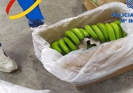 Justicia confirma la condena por un alijo de 244 kilos de cocaína camuflada en un contenedor de frutas que entró por Algeciras y se almacenó en Jerez