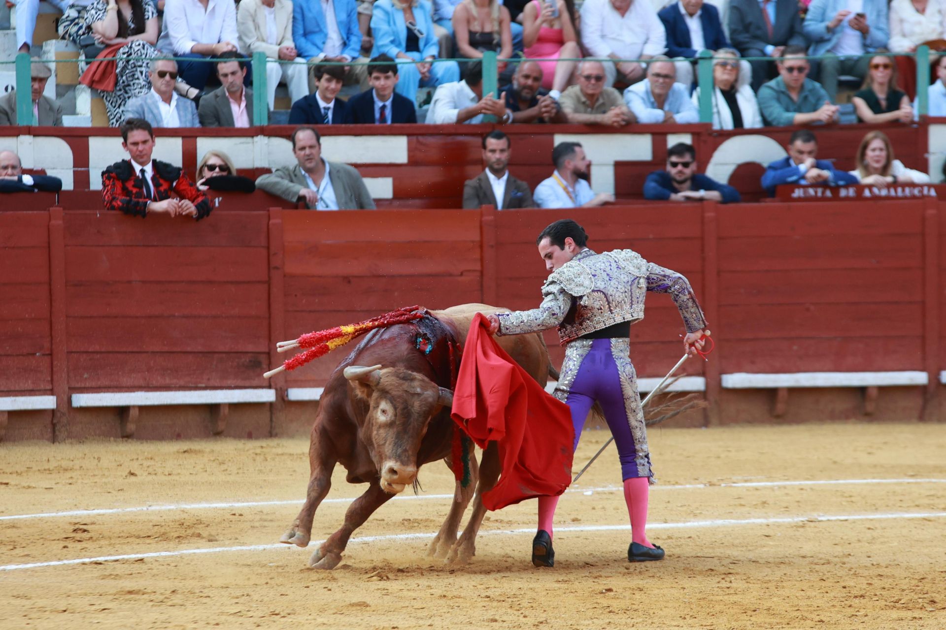 Fotos: Novillada con picadores de la Feria de Jerez 2025