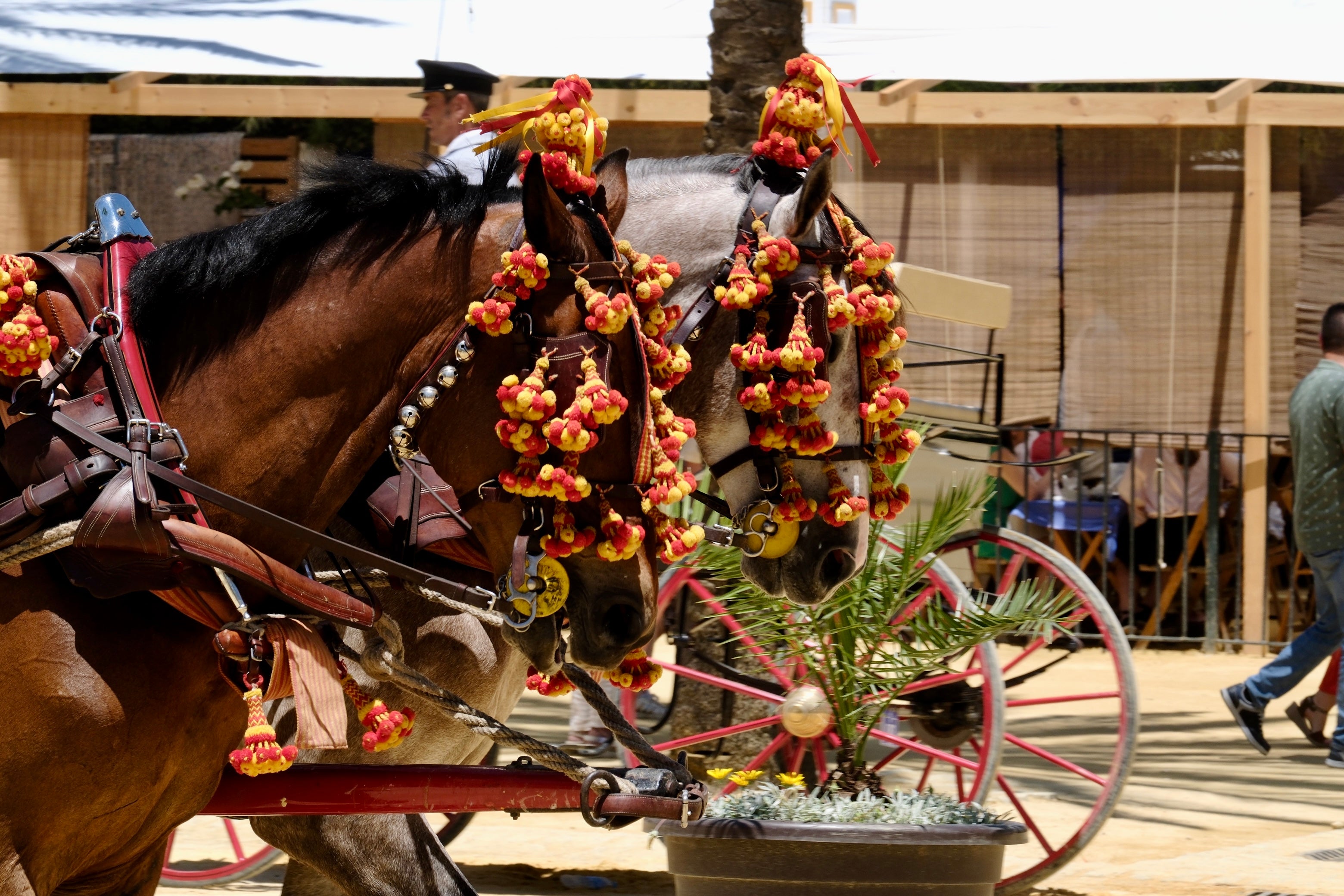 Jerez despide su Feria del Caballo por todo lo alto
