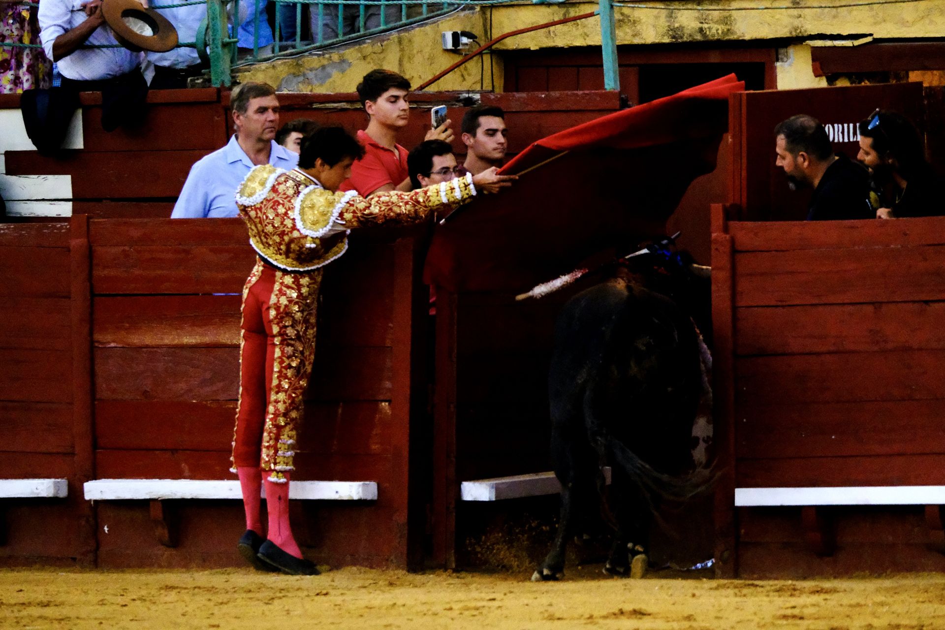 Fotos: Talavante y Roca Rey brillan en Jerez