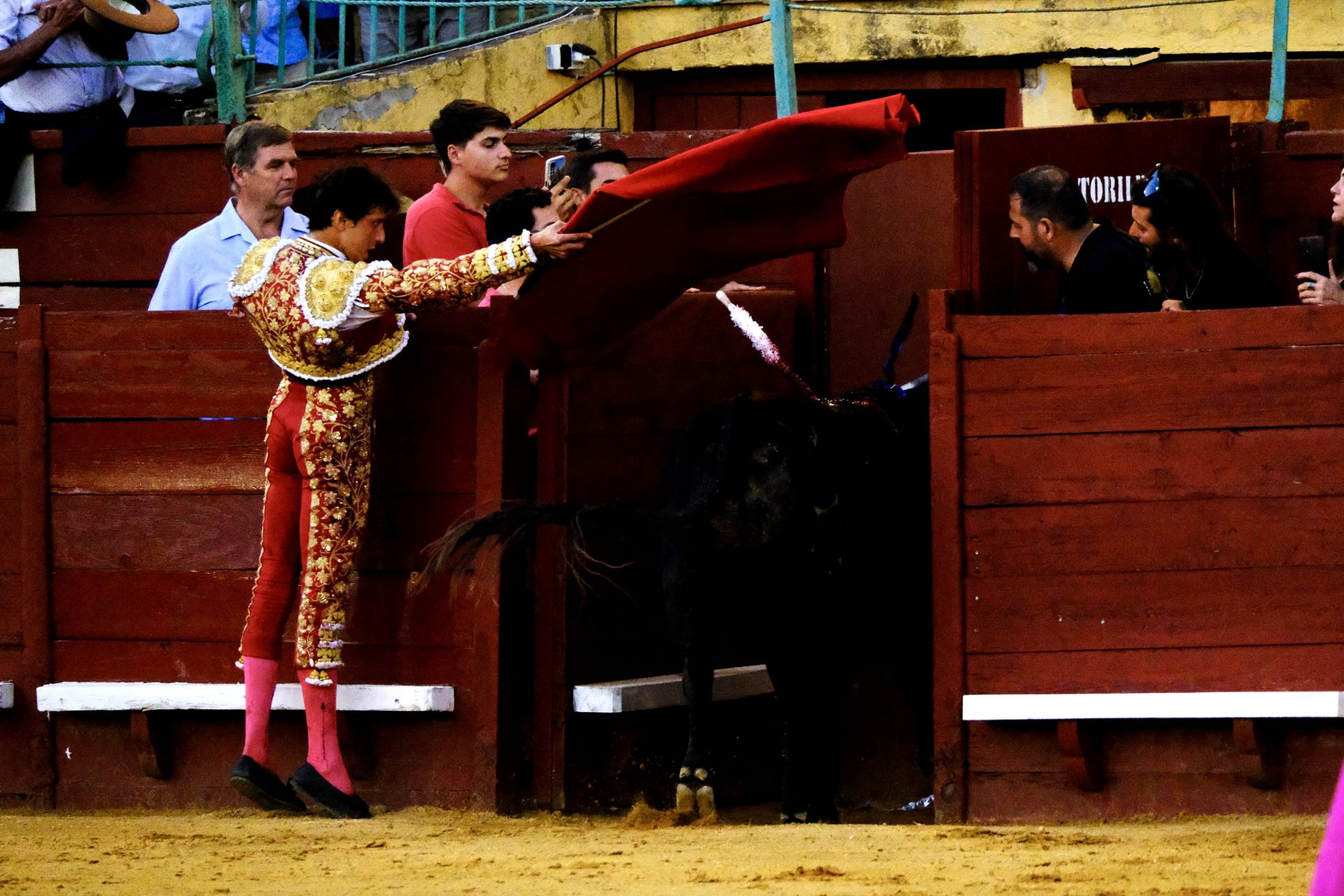 Fotos: Talavante y Roca Rey brillan en Jerez