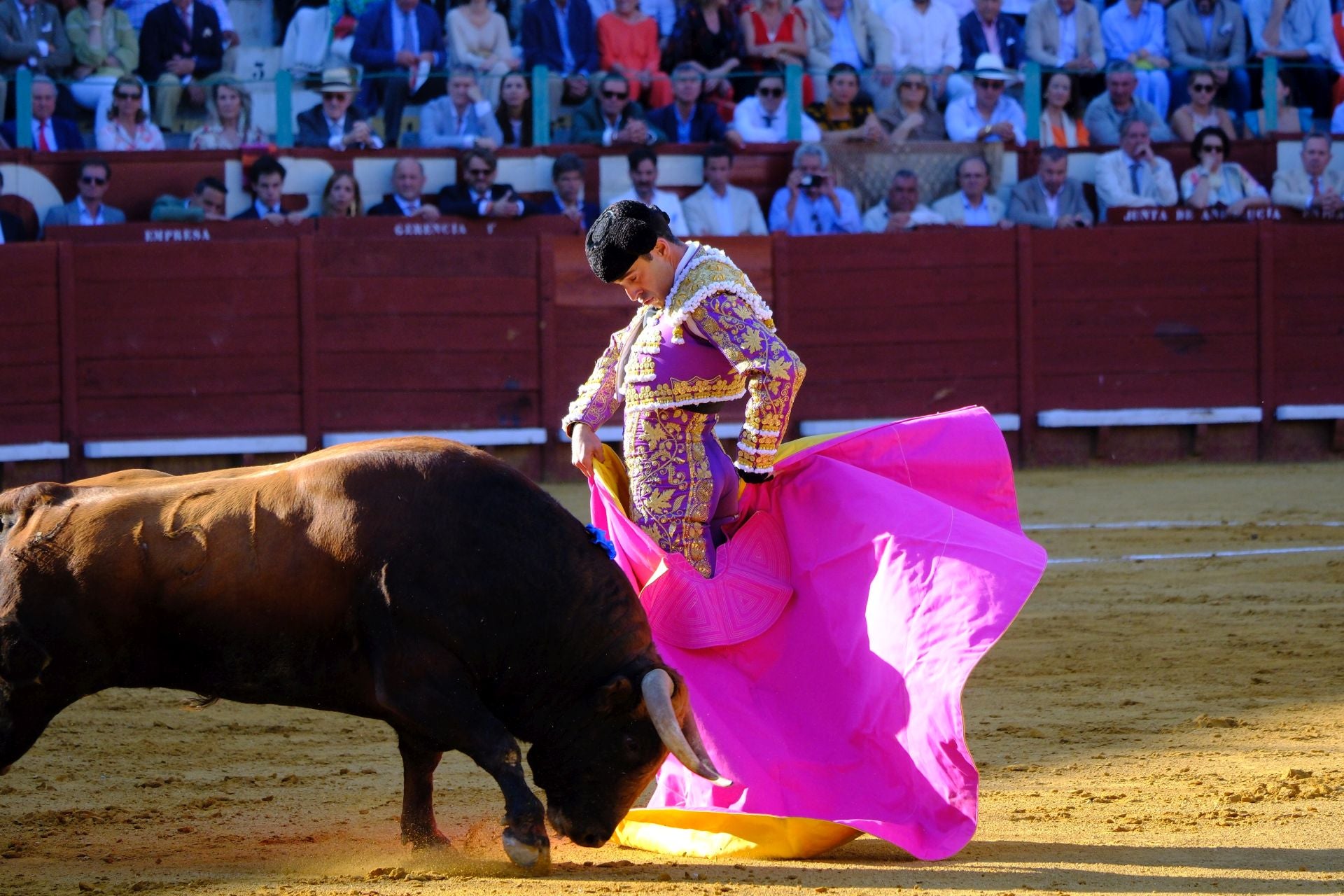 Fotos: Talavante y Roca Rey brillan en Jerez