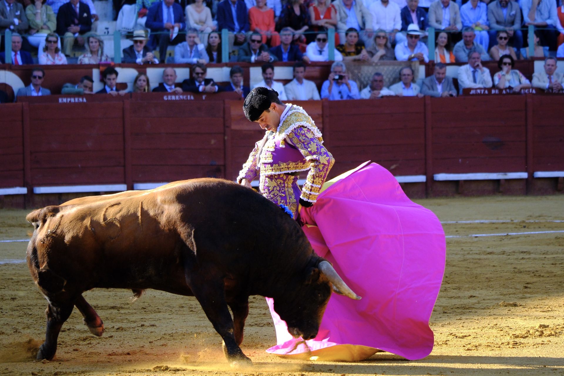 Fotos: Talavante y Roca Rey brillan en Jerez