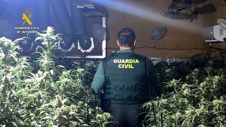 Un incendio por un enganche ilegal saca a la luz una plantación de marihuana muy próxima al Hospital de Villamartín
