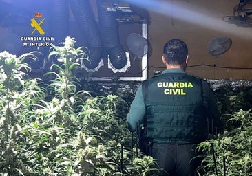 Un incendio por un enganche ilegal saca a la luz una plantación de marihuana muy próxima al Hospital de Villamartín