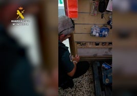Un bazar de Puerto Real ocultaba en una pared un doble fondo con tabaco de contrabando