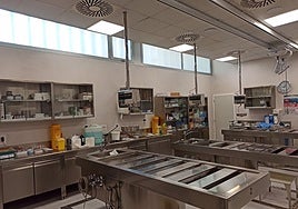 El Instituto de Medicina Legal de Cádiz admite un error en la entrega de cadáveres que llevó a una incineración indebida