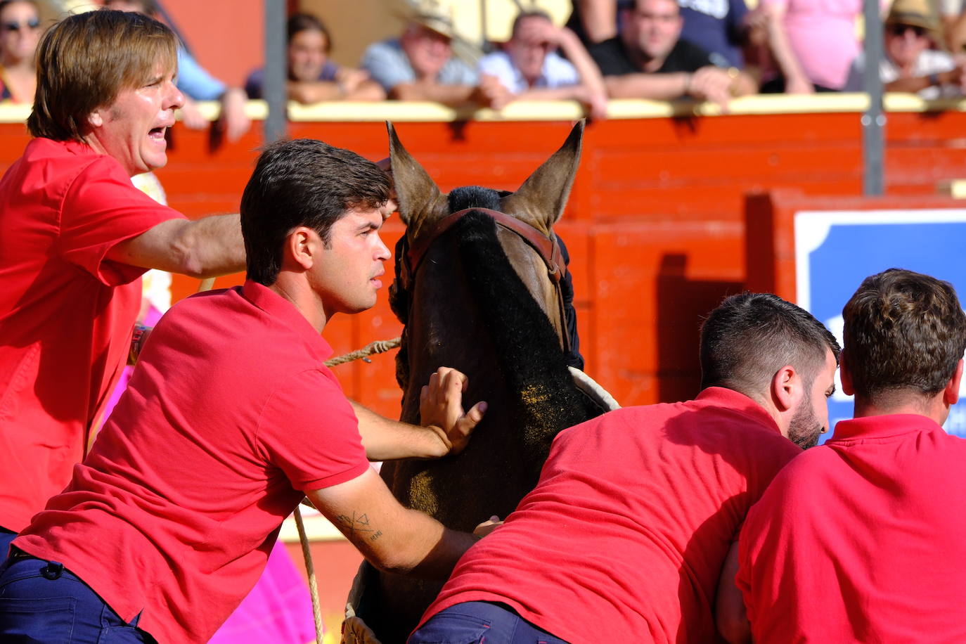 Toros: Perera, Talavante y El Melli en Sanlúcar