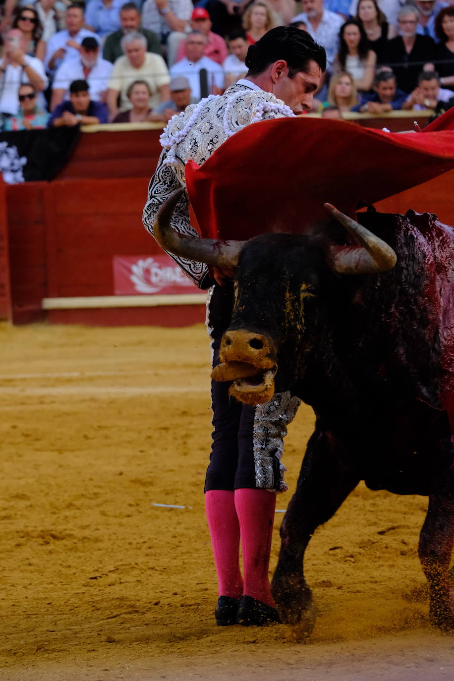 Toros: Perera, Talavante y El Melli en Sanlúcar