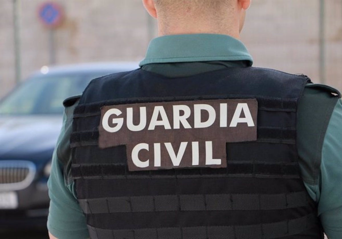 Detenidos dos hermanos por robar objetos de playa y gafas de sol de varios coches en Los Barrios