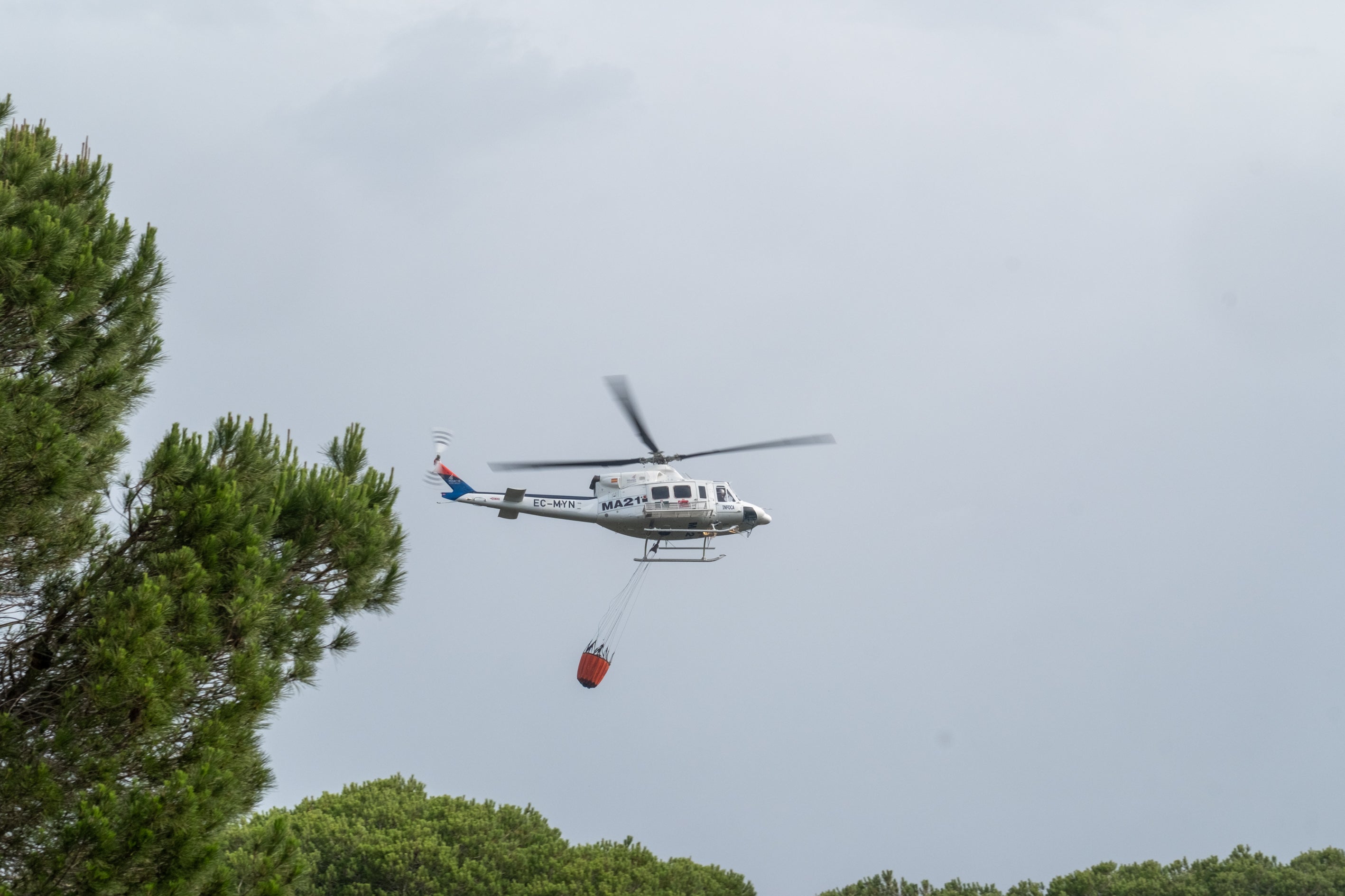 Fotos: Las imágenes del incendio de Puerto Real