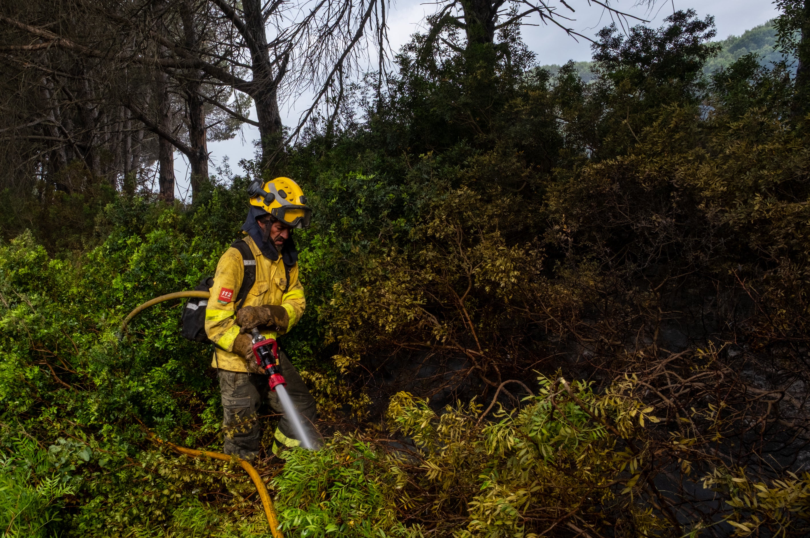 Fotos: Las imágenes del incendio de Puerto Real