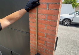Atrapan una serpiente venenosa de más de un metro que se ocultaba en el garaje de una casa en Algeciras