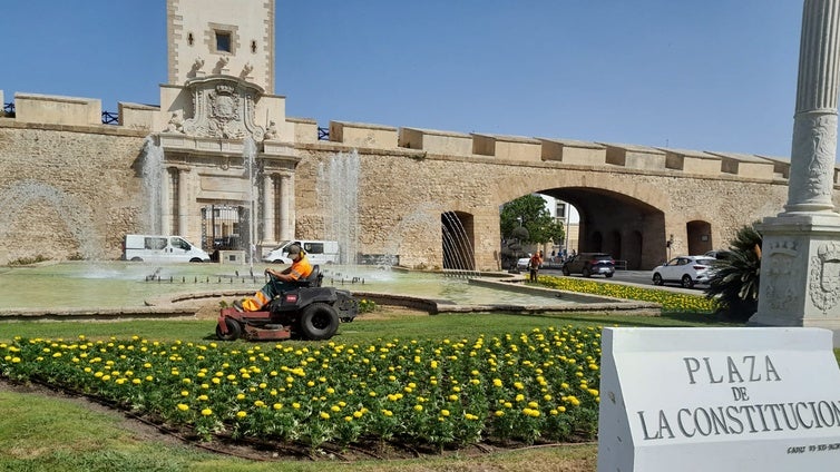 Más de 8.000 flores de temporada en varias zonas de la ciudad de Cádiz
