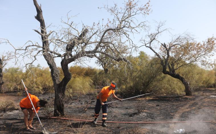 Imagen principal - Incendio en Puerto Real: Vecinos se movilizan ante la proximidad de las llamas a las casas en El Almendral