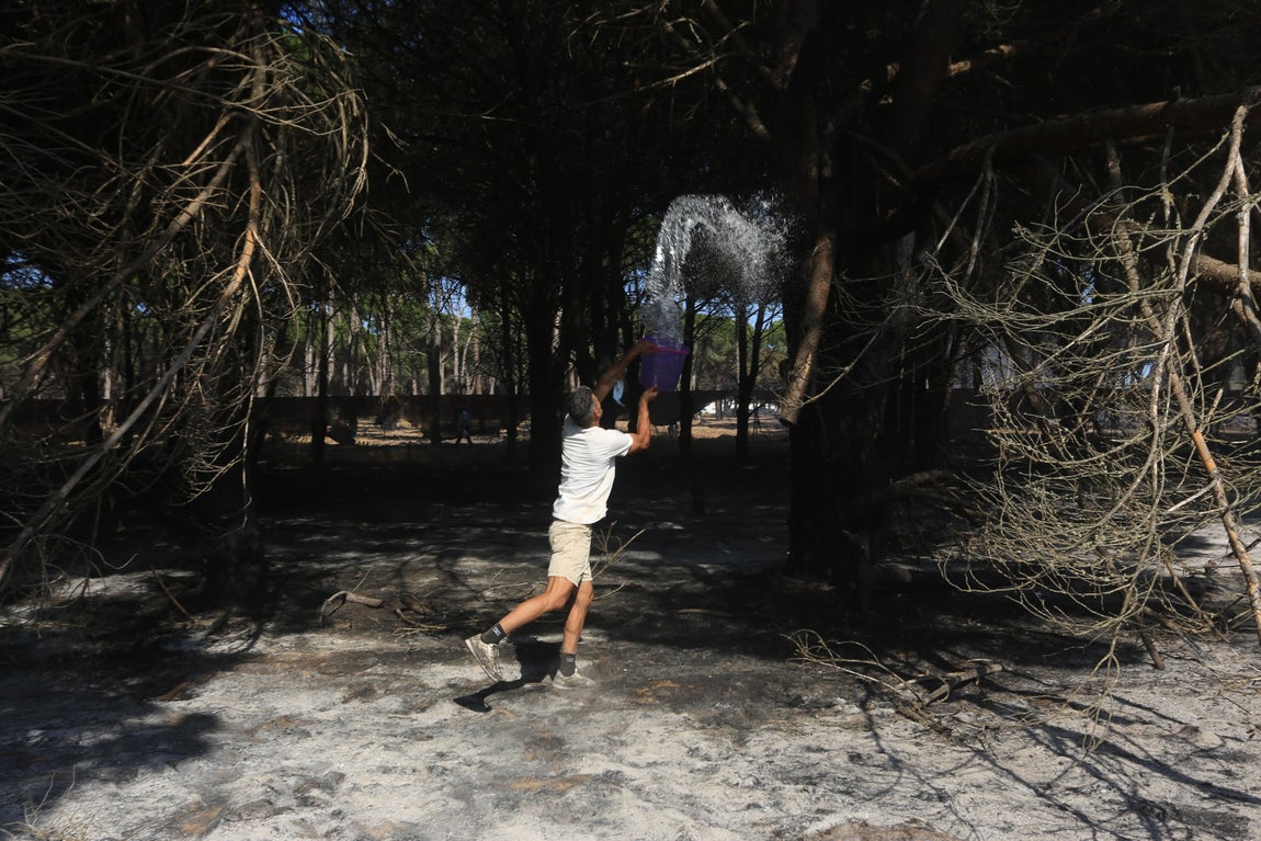 Fotos: Los vecinos se vuelcan para sofocar el incendio de Chiclana