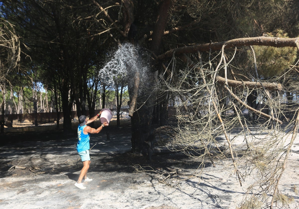 Fotos: Los vecinos se vuelcan para sofocar el incendio de Chiclana