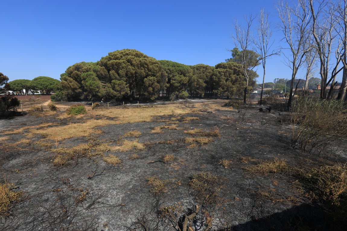 Fotos: Los vecinos se vuelcan para sofocar el incendio de Chiclana